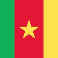 2579783-cameroun-drapeau-officiellement-gratuit-vectoriel
